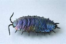 a04
