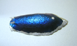 a1290