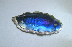 a1298