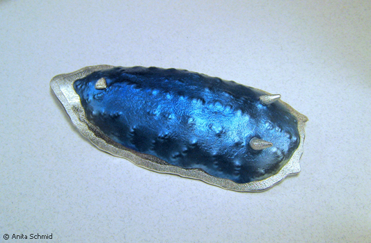 a1299